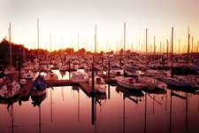 Marina in the Sacramento-San Joaquin Delta