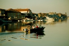 DiscoveryBay